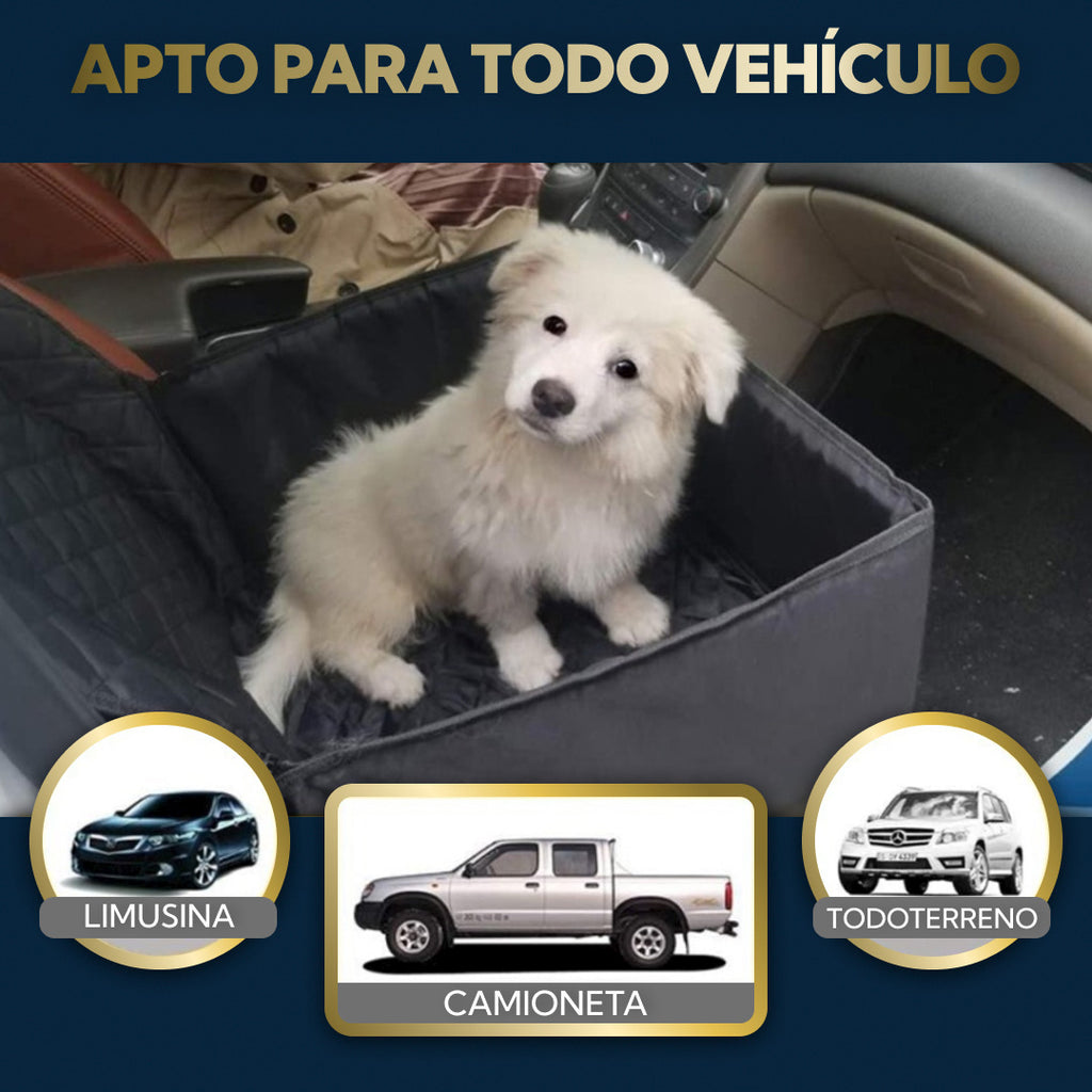 Cachorro blanco dentro del asiento para perro en modo booster, apto para automóvil, camioneta y todo terreno