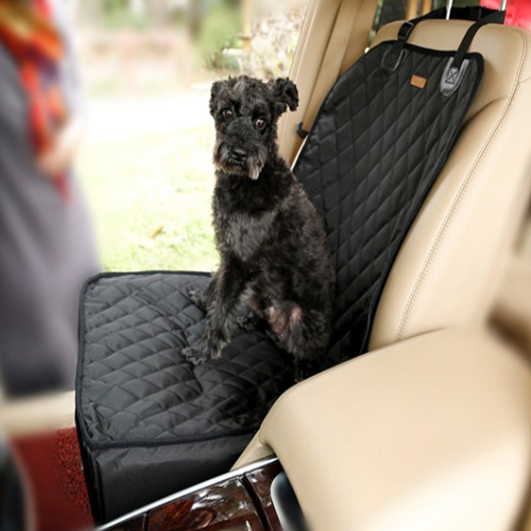 Perro pequeño negro sentado dentro del asiento de auto con las paredes levantadas, instalado en el asiento delantero de un auto