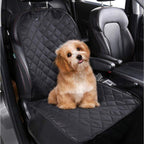 Perro café sentado sobre el asiento para perro usado en modo plano, cubriendo el asiento completo del auto